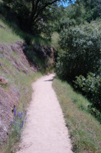 Buttermilk Bend trail, South Yuba River State Park