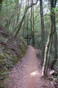 King Mountain trail