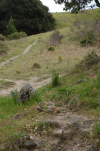 Ring Mountain trail