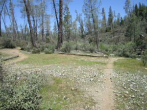 Open serpentine trail