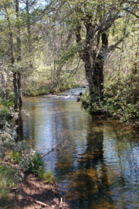 Traverse Creek