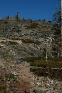 Trail up the hillside to Glacier Lake, see the people?