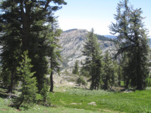 Down the hillside from Grouse Ridge