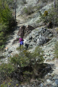 Trail across the Serpentine hillside