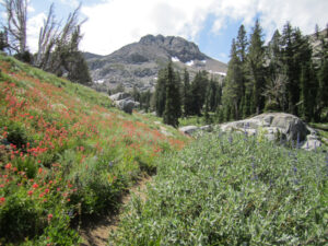 Woods Lake to Winnemucca Lake