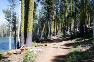 Easy trail along Feeley Lake