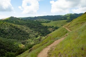 Canyon View Trail