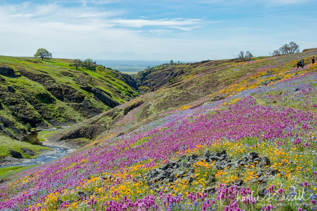 North Table Mountain Ecological Reserve