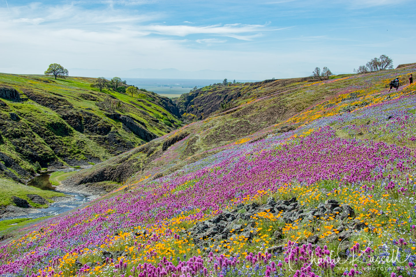 Table Mountain Trail Map Oroville Ca | Brokeasshome.com