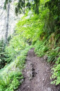Tire Mountain trail. Some sections traverse steep cliffs. Hard to get off the trail for mountain bikers, but the trail is well maintained