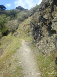 Yolanda Trail as it runs across the hillside