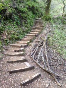 Gertrude Orr Trail, steps as you go along Phoenix lake