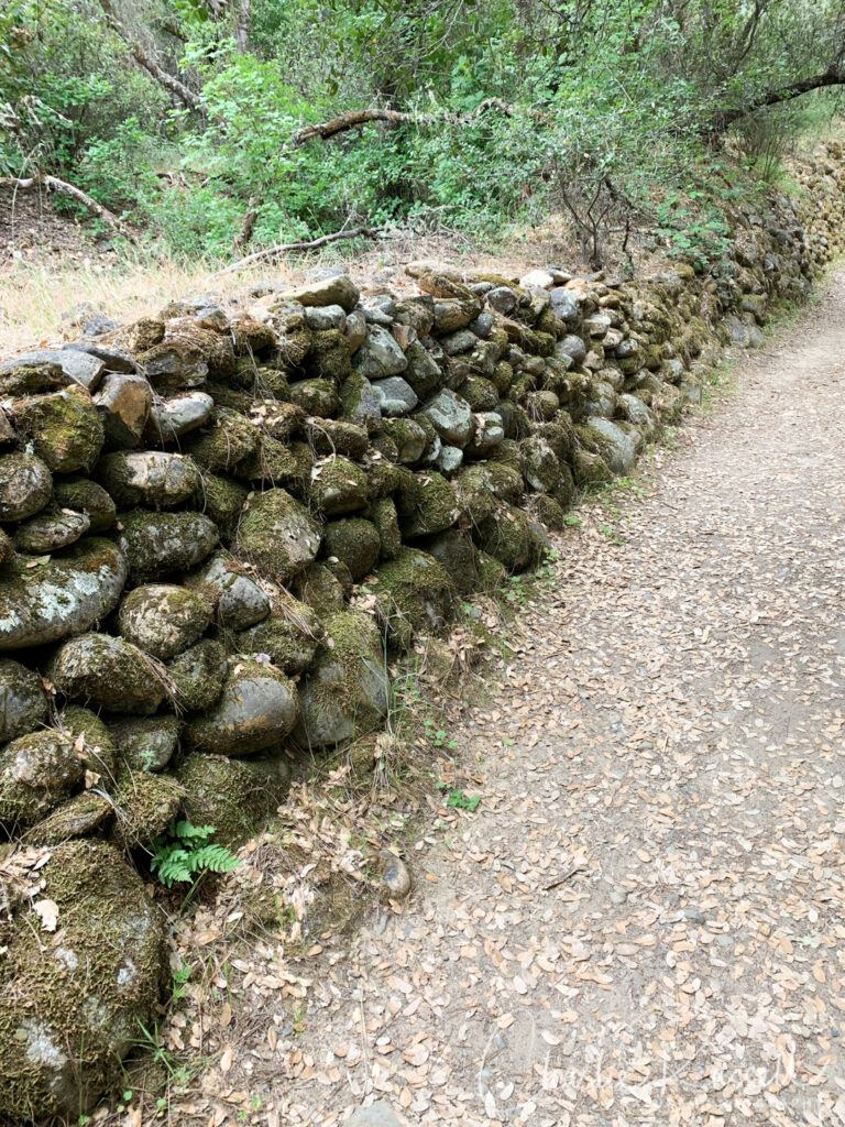 Dave Moore Nature Trail, wall built by Chinese laborers to direct water for mining
