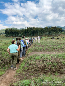 Here's the tour group heading across the farmland.