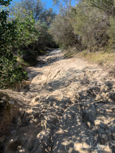 Chaparral Loop Trail