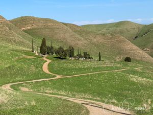 Black Diamond Mines Regional Preserve