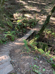 Marker 16 to 14, West trail, has steps and bridges