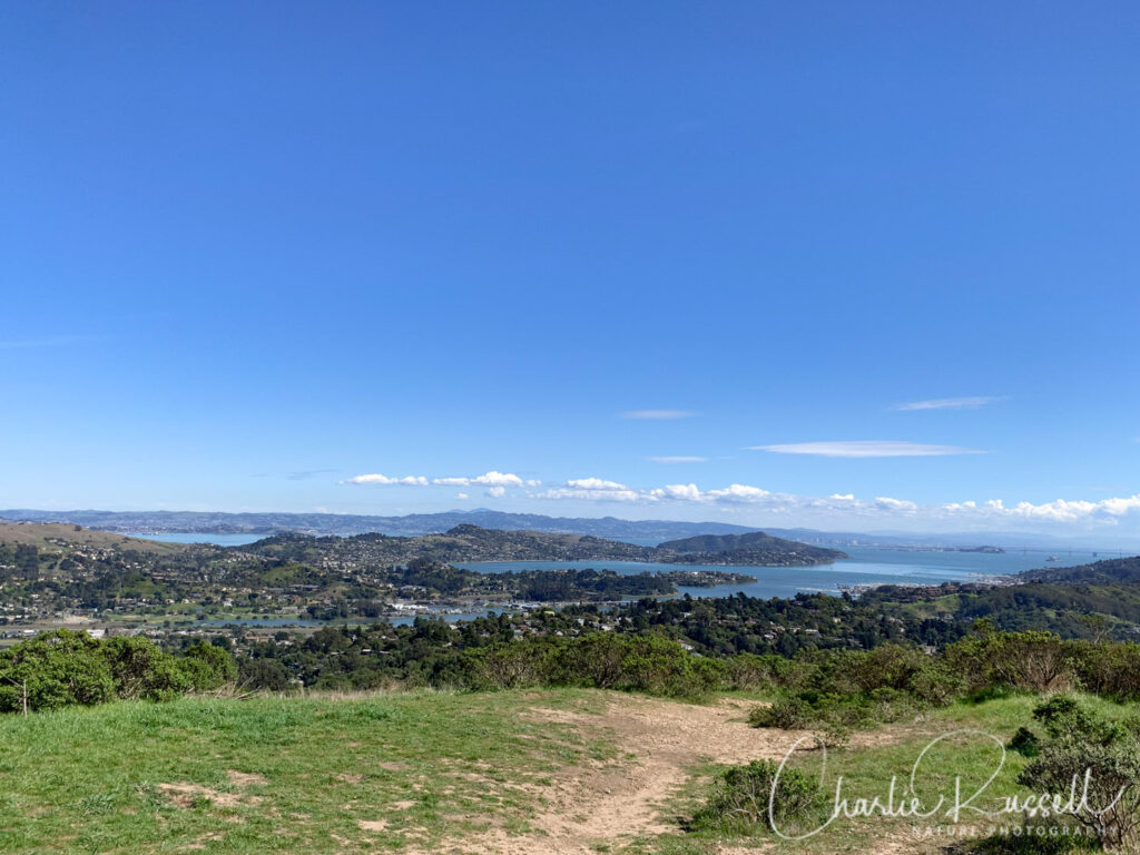 View from Homestead Hill, in the Golden Gate National Recreation Area, before heading down into Homestead Valley