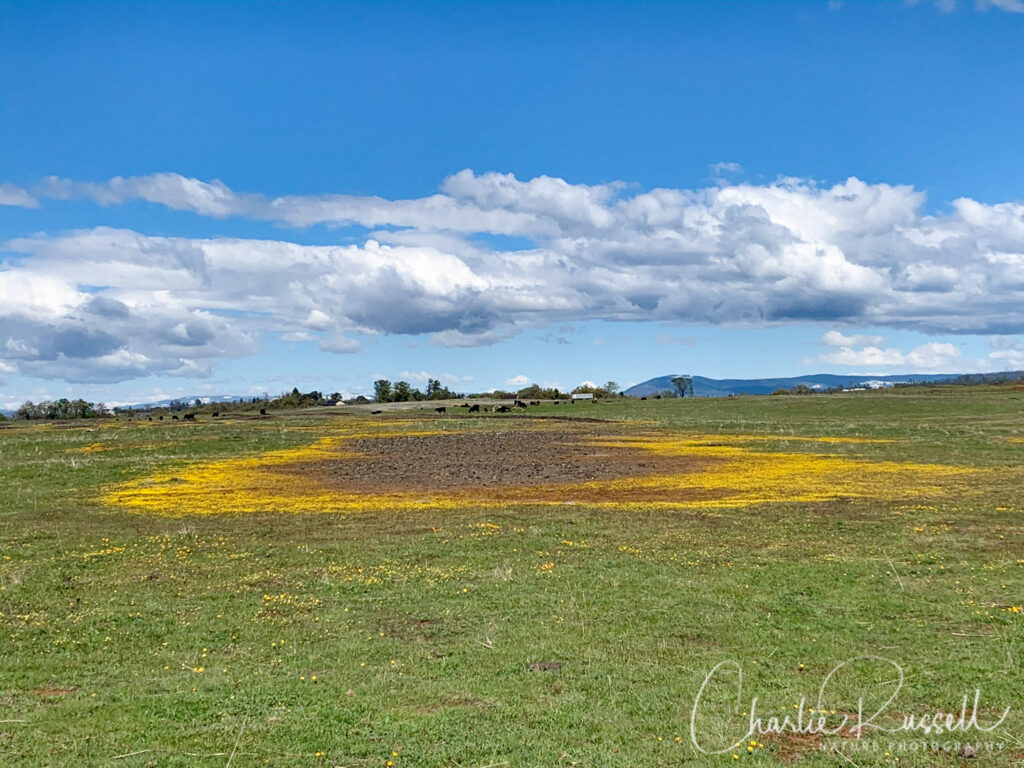 North Table Mountain north plateau