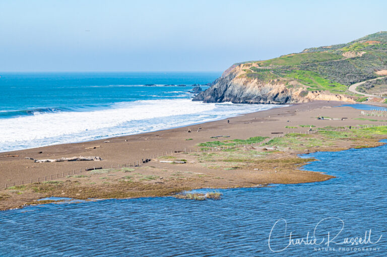 Rodeo beach from the trail south of the lagoon