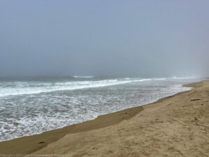 The beach at Abbotts Lagoon, fog trying to come in