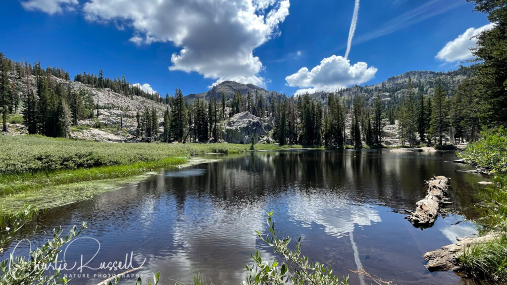 Over the crest and a bit of a descent, the trail leads to Shirley Lake. The trails continue up, to the left