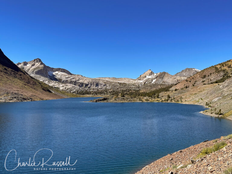 Saddlebag Lake: East side, looking north. North Peak to the left, Shepherd Crest to the right of center