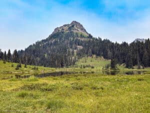 Peak over Tipsoo Lake, and the meadow