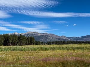Upper Truckee Marsh and mountains