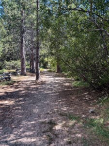 Path leading in to the beach