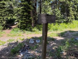 Trail crossing, go left!