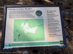 Interpretive sign