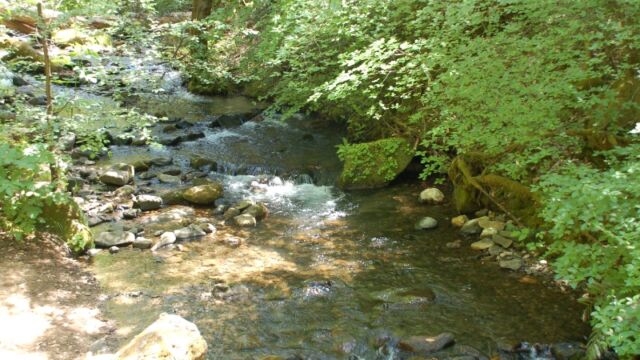 Stream near Feather Falls