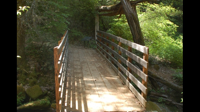 Bridge on hike to Feather Falls