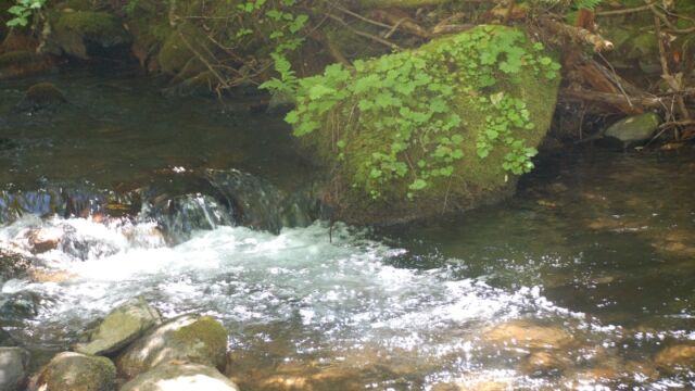 Stream near Feather Falls