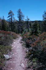 Lakes Basin Trail