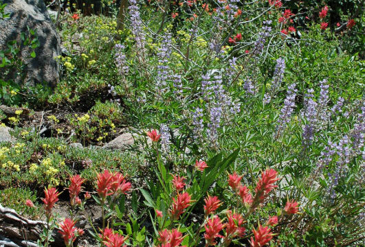 Meiss trail lower part Meiss trail lower part