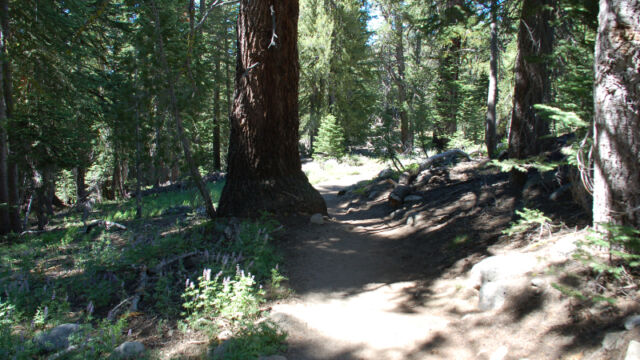 Early part of the path, in the woods