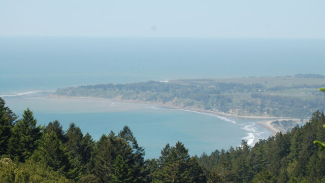 Looking out to the ocean Matt Davis Trail