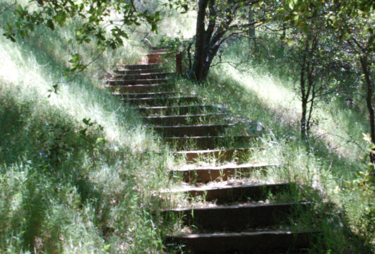 Buttermilk Bend trail Buttermilk Bend trail, South Yuba River State Park