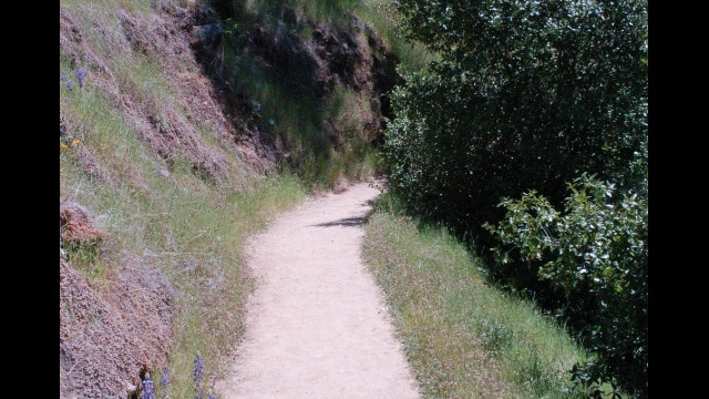 Buttermilk Bend trail Buttermilk Bend trail, South Yuba River State Park