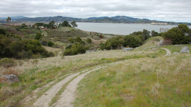 Ring Mountain trail Ring Mountain trail