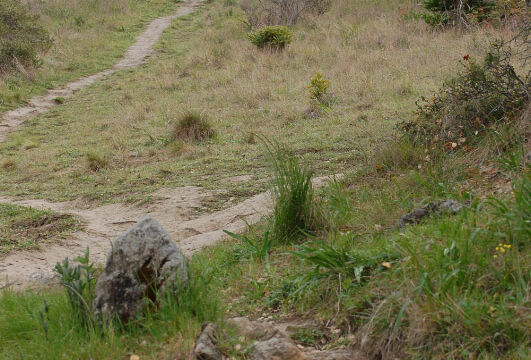 Ring Mountain trail Ring Mountain trail