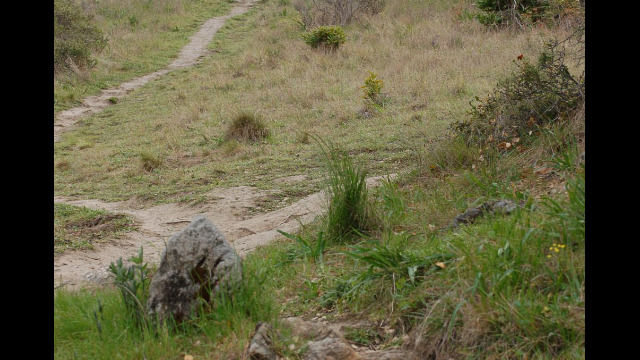 Ring Mountain trail Ring Mountain trail