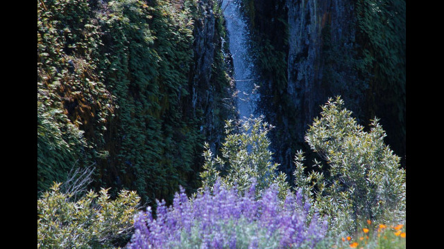 Ravine Falls