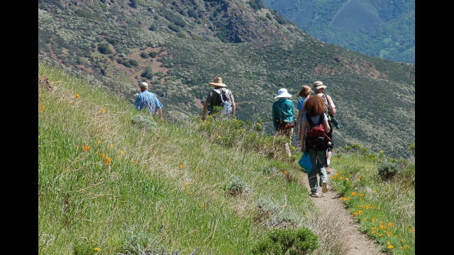 North Peak Trail, Mt. Diablo