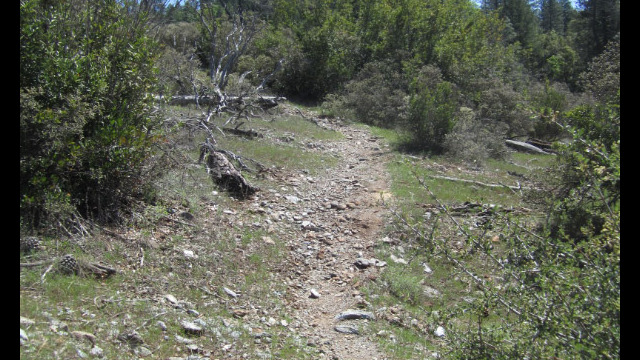 Trail up the hill Traverse Creek