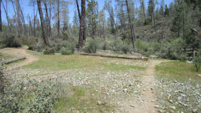 Open serpentine trail