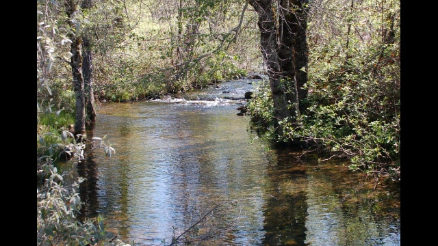Traverse Creek