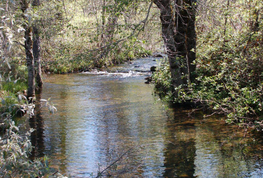 Traverse Creek